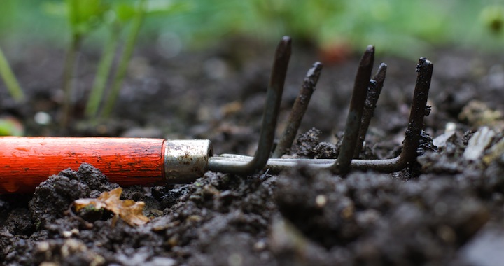 Getting Dirty with Jesus