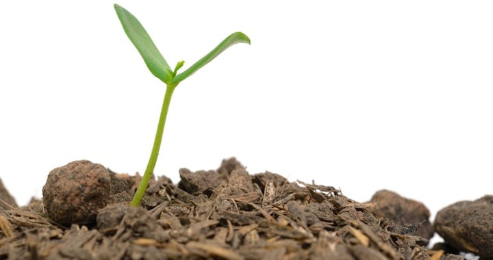 Random acts of glory – and senseless acts of Grace