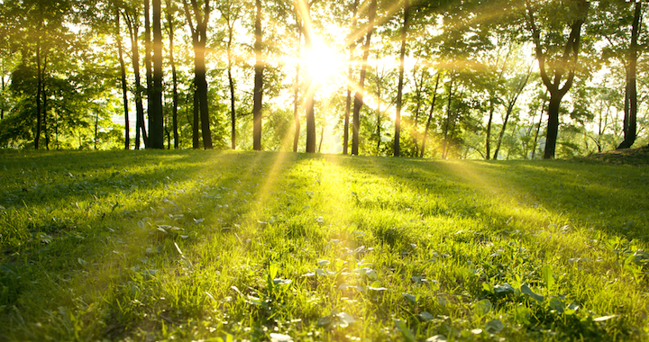 The Surprises and Promises of Spring