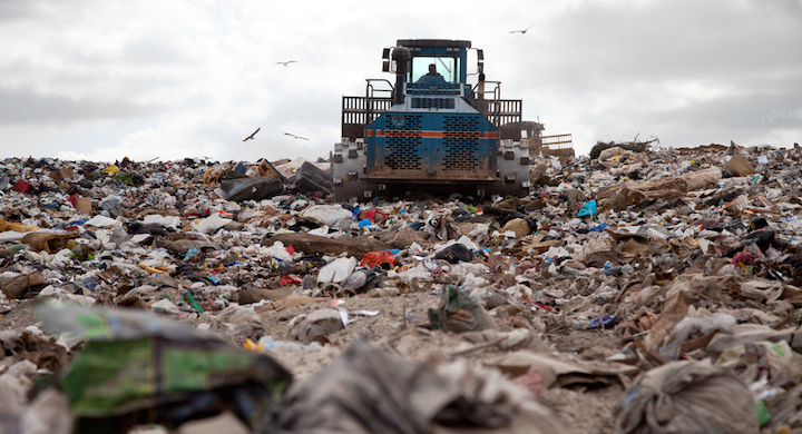The Garden’s Good News,  the Landfill’s Lament