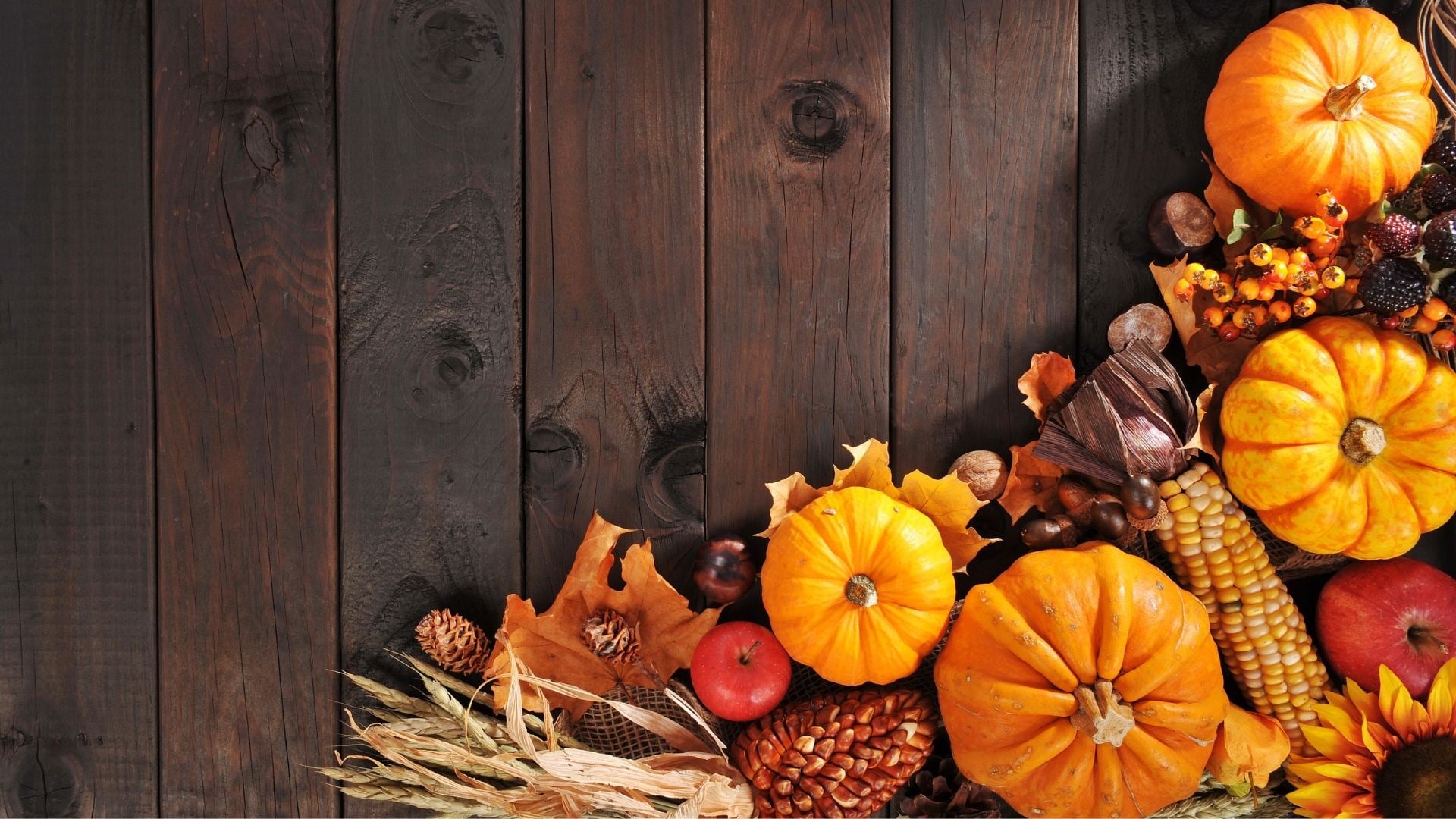 Thanksgiving Day: Being Grateful for Us