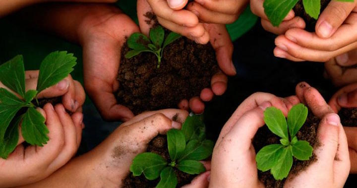 World Environment Day: Creation’s Groan & Your Vote