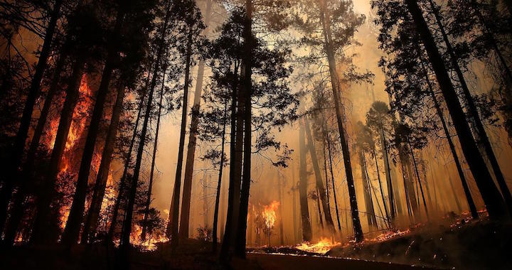 A Fire to Heal This Aching Land