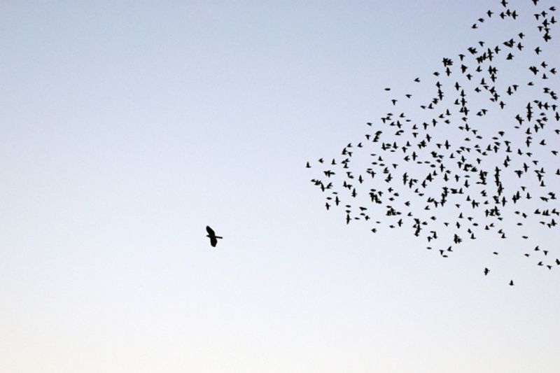Daring to Lead Differently