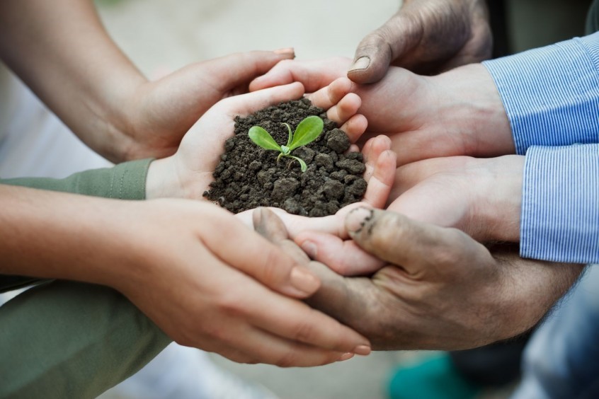 Why Organizations Need Values-Driven Hope