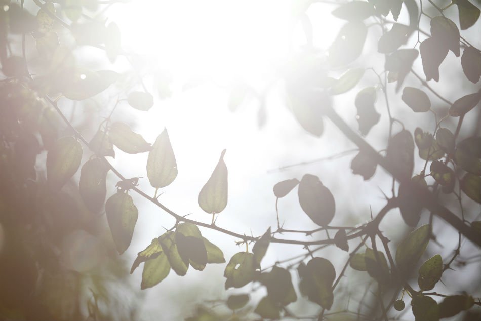 How Might Easter Be Reinterpreted in Light of Climate Change?