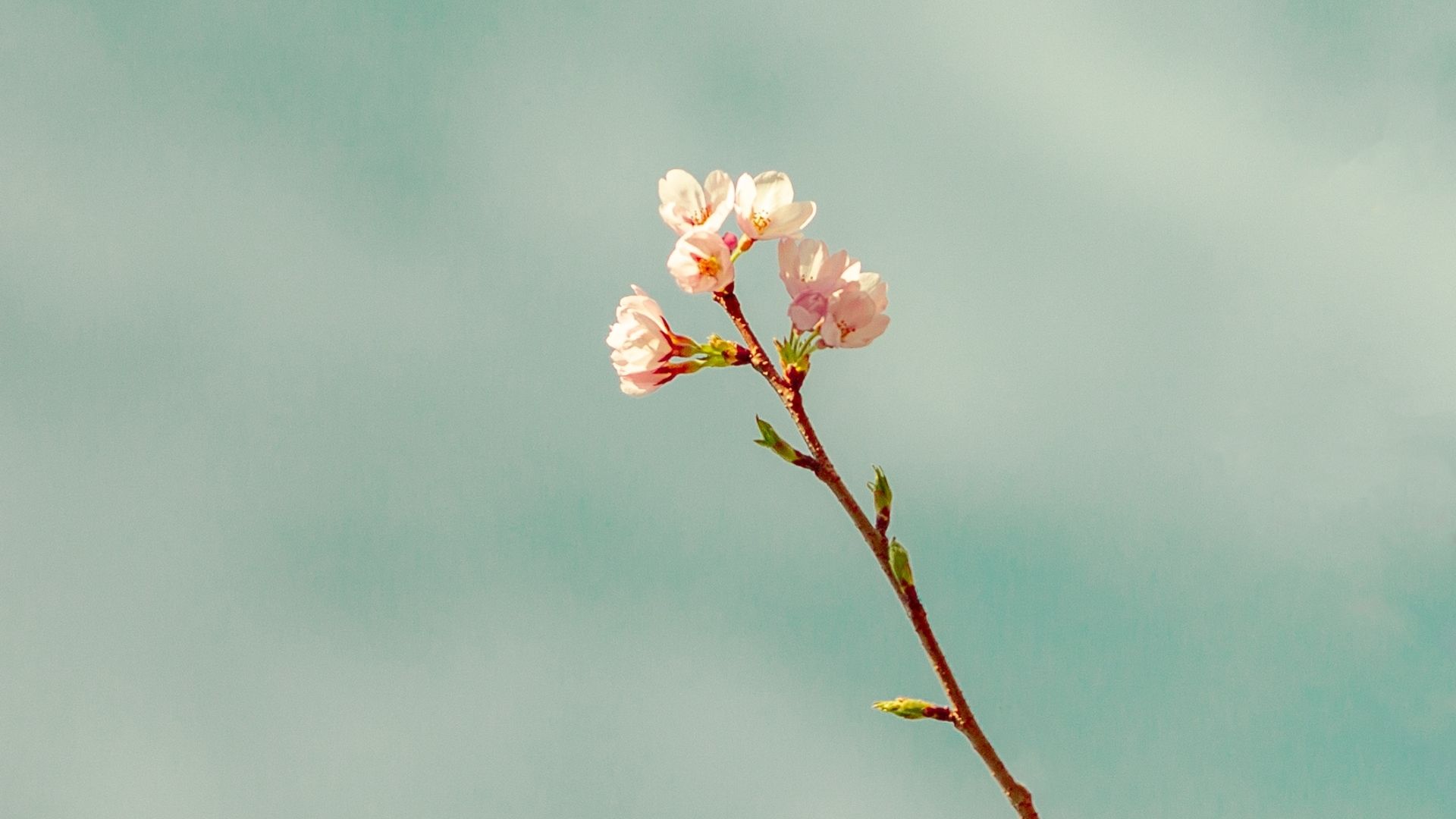Minimalism and the Christian Life
