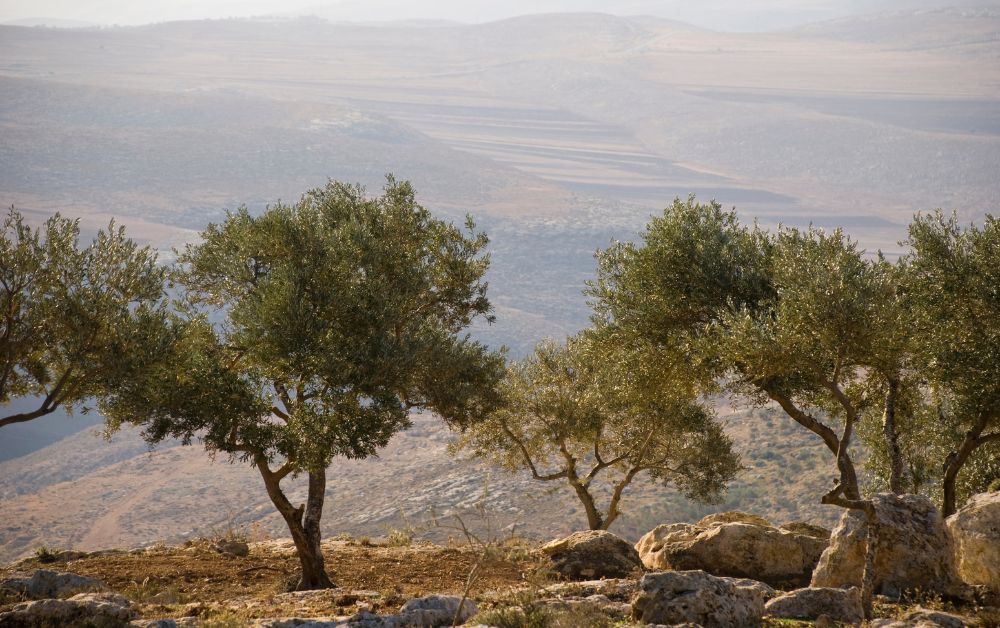 Understanding the Israeli-Palestinian Conflict Beyond Spiritual Narratives