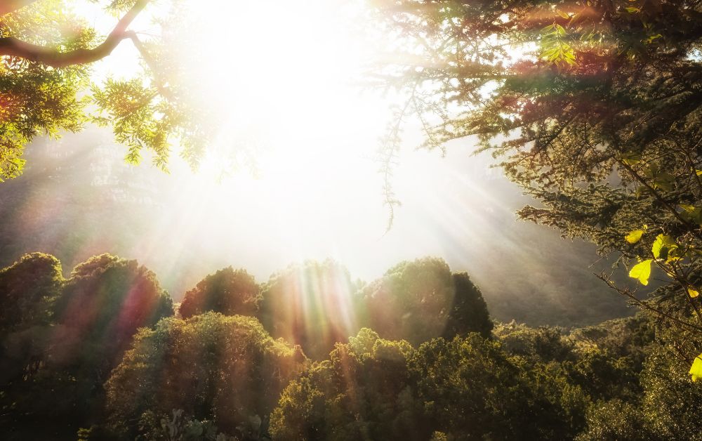 The Garden is Not the Goal