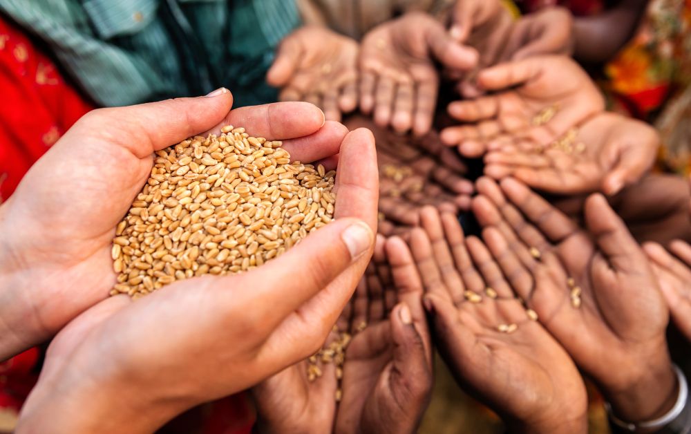When I Was Hungry: The Least of These & The Christian Duty to Act