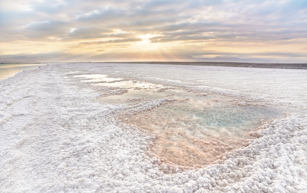 You are the Salt of the Earth